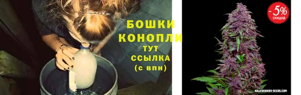шишки Богданович