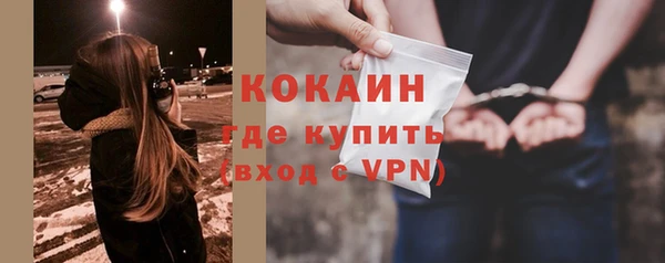шишки Богданович