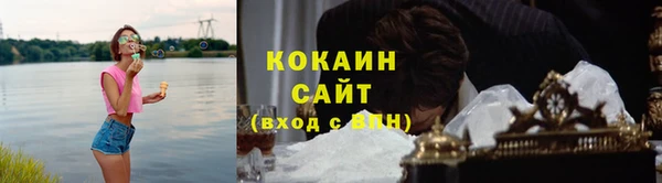 шишки Богданович