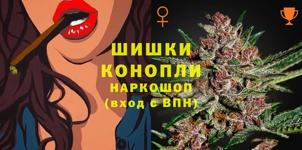 шишки Богданович