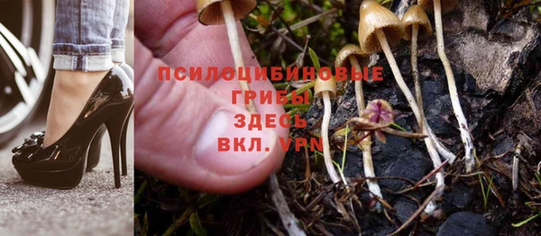 шишки Богданович