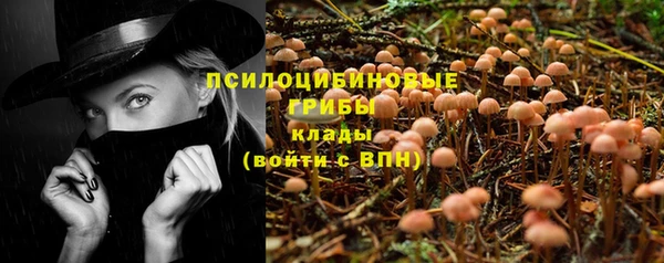 соль курить ск Богородицк
