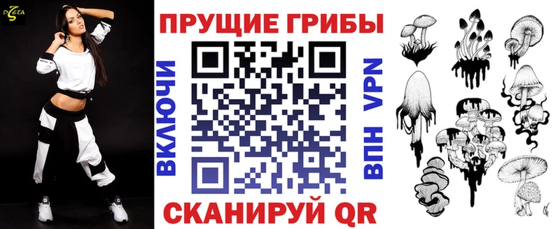 Галлюциногенные грибы Psilocybe  Купить  Серафимович 